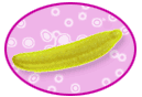 FOAM JELLY- BATIDA - BATTUE